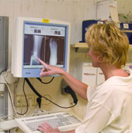 ���Լ�����ҽ����ҵ��Ӧ��