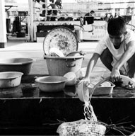 �޼�����ѧ����Ⱥ����������