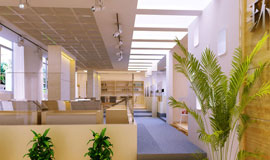 �����������ʵѵ����